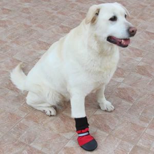 Scarpetta Muttluks